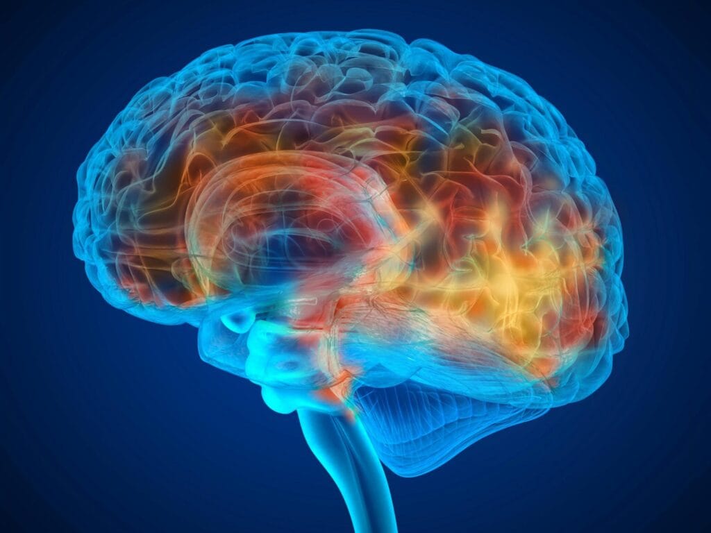 Scientists Expose Brain Region Behind Alcohol Addiction