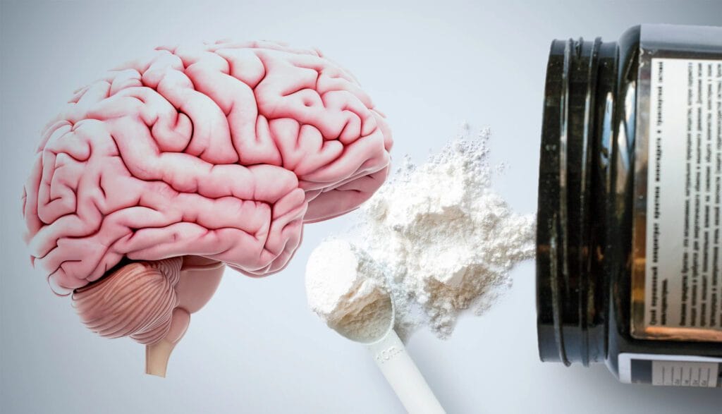 Creatine Revolutionizes Brain, Heart & Aging Health